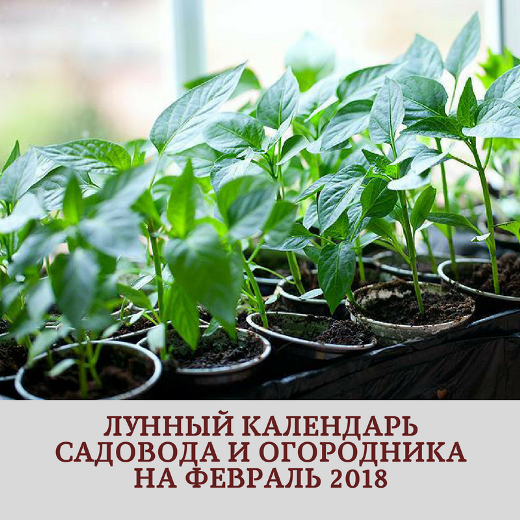 лунный календарь на февраль