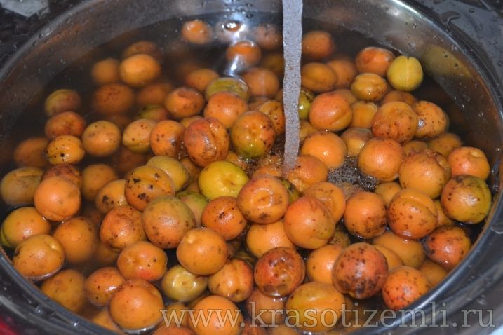 вымыть абрикосы
