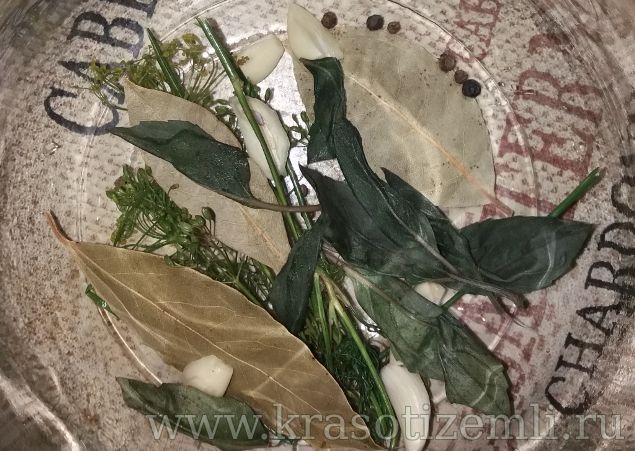 сладкие помидоры с базиликом на зиму в литровых банках. Смотреть фото сладкие помидоры с базиликом на зиму в литровых банках. Смотреть картинку сладкие помидоры с базиликом на зиму в литровых банках. Картинка про сладкие помидоры с базиликом на зиму в литровых банках. Фото сладкие помидоры с базиликом на зиму в литровых банках
