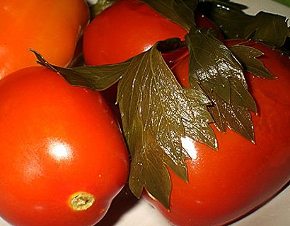 засолить помидоры