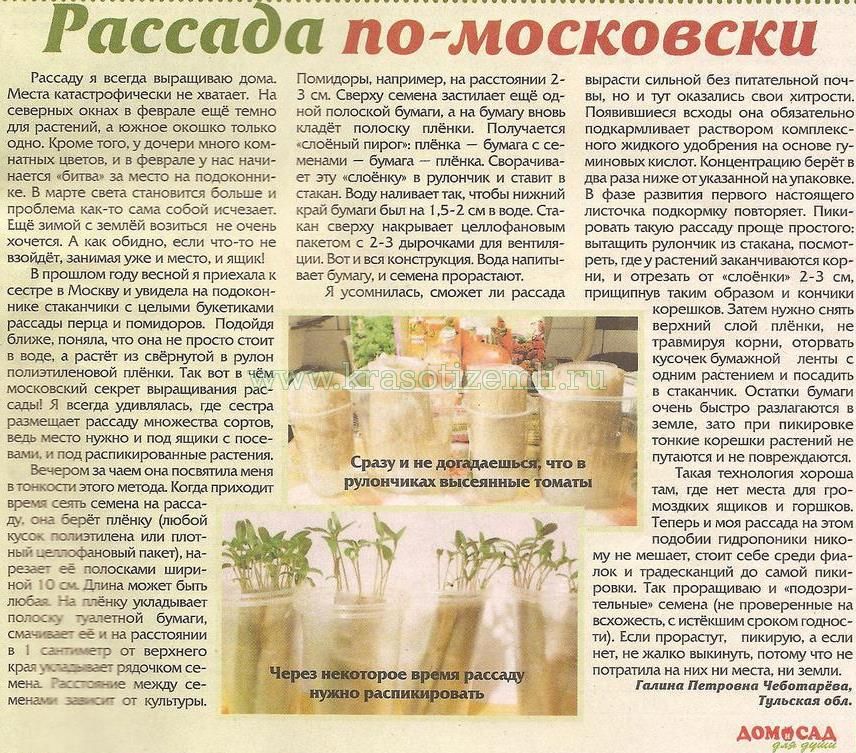 рассада по-московски