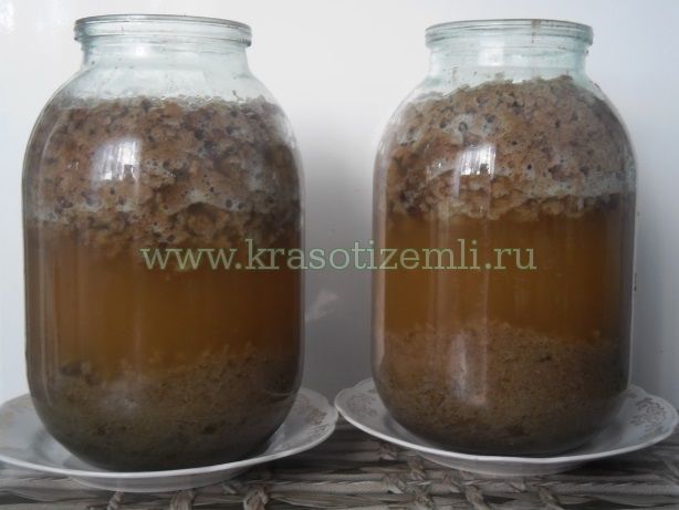 Жженый сахар для кваса как сделать. Смотреть фото Жженый сахар для кваса как сделать. Смотреть картинку Жженый сахар для кваса как сделать. Картинка про Жженый сахар для кваса как сделать. Фото Жженый сахар для кваса как сделать