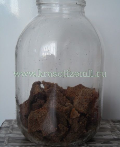 Жженый сахар для кваса как сделать. Смотреть фото Жженый сахар для кваса как сделать. Смотреть картинку Жженый сахар для кваса как сделать. Картинка про Жженый сахар для кваса как сделать. Фото Жженый сахар для кваса как сделать
