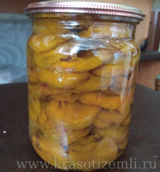 вяленые абрикосы в сиропе на зиму