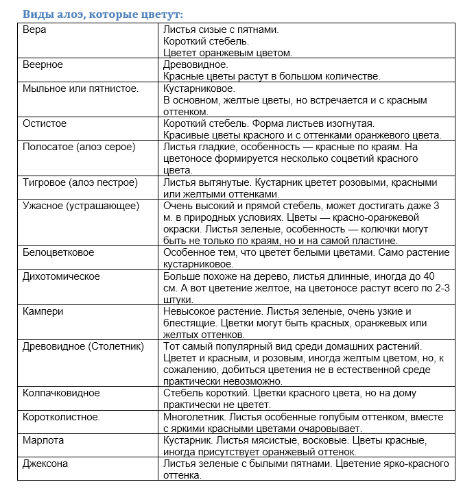 виды алоэ которые цветут